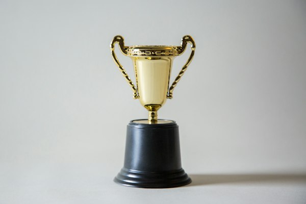 Excellence in Interior Surfaces